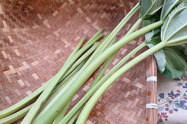 隠れた実力派。赤いものとは一味違う『緑ルバーブ』の秘密（１ｋｇ）