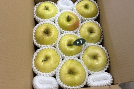 🍏【トキ】🍏約３キロ9～11玉《家庭用》ID162925