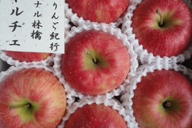 「シナノドルチェ」訳あり　ご家庭専用　NOW ON SALE 絶賛販売中！！　長野県ならではの林檎　甘さと程よい酸味　3キロコース