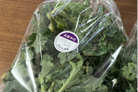 栄養満点！希少野菜 プチヴェール200g