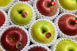 【同梱】🍎りんごジュース３本と🍎ジューシーりんご３キロ🍎◆甘さが違う！葉とらず入り品種ミックス🍎品種指定OK【冬ギフト】のし対応