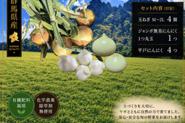 【数量限定】3年育てたジャンボにんにく１つ丸玉入り！群馬県産 にんにく2種（平戸・ジャンボ）＆糖度約11度 七宝甘70セット｜有機肥料栽培・化学農薬・除草剤不使用