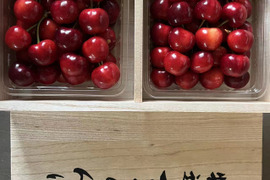 2026年予約販売山形県産さくらんぼ　やまがた紅王  特秀　桐箱　3L、4L