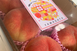 今季ラスト！山形県産さくら白桃【2キロ6個入】