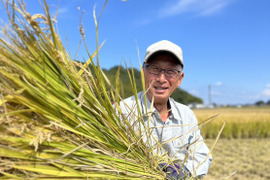 きぬむすめ 5キロ　令和6年