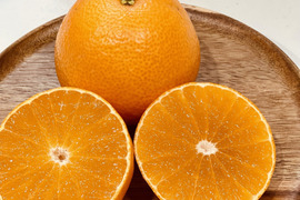 プルプルジューシー！！まどんな(ご家庭用　2キロ)