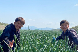 【数量限定特別価格】【数量限定：大家族・飲食店応援企画】淡路島産玉ねぎ訳あり10ｋｇ