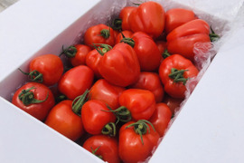 【糸島野菜】ハートがかわいい!トマトベリー(2kg)