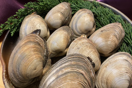 愛知県 日間賀島産【大アサリ】1キロ（5.6個開きで送るので10-12口分）
フライ，炭火焼き， 酒蒸し
《BBQやイベント》にオススメ
下処理して焼くだけ状態で真空（冷凍発送）