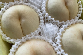 【2024年・岡山の白桃・桃水】超希少品種！ギフトにも★硬い果肉の岡山の白桃です（2㎏箱）