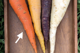 【北海道・芽室】香り深いニンジン🥕無選別【農薬化学肥料不使用】(3kg)