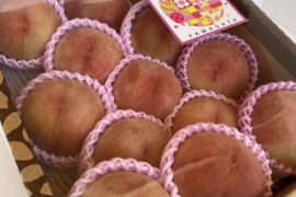 白桃の王様‼️山形産川中島白桃【3キロ13玉】