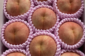 🍑桃水🍑3キロ箱(8玉〜12玉)化粧箱