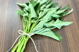 朝採り旬野菜セット（８０サイズ）