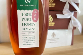 ほろ苦い柑橘系蜂蜜！カラスザンショウ500g入り