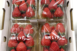 【即日発送】紅ほっぺ4パック