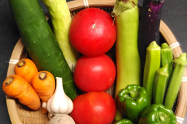 農薬未使用!旬の採れたて新鮮野菜おまかせ小セット(5~7品目)