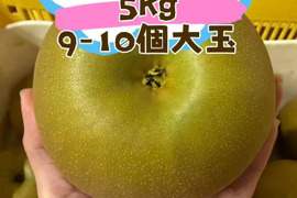 稀少品種 栃木県産 甘太 3キロ：栃木県産の甘太｜食べチョク｜産地