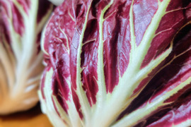 クセになるほろ苦さ！ラディッキオ（トレビス）2個