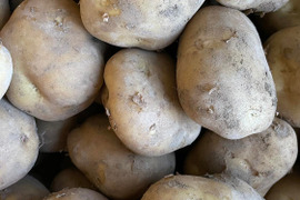 予約販売有機栽培　馬鈴薯　5kg 大分県産のふっくらホクホク！
