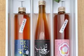 【福袋】梅農家による梅酒3本セット　500ml×3本　辛口梅酒　甘口梅酒　本格梅酒　すぐに出荷
