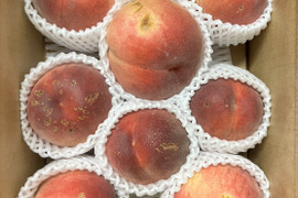 【超訳あり家庭用☆品種おまかせ】桃2kg