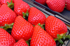 埼玉いちご「べにたま」食べ比べセット270ｇ×2ｐ