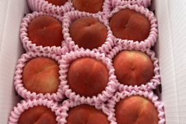 桃　おまかせ　小玉　ちびっ子　訳あり　1.8kg自家用　(10～16玉入り)　キズ有りの場合　6～12玉　商品番号　kodama