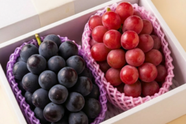 旬の味覚を贅沢に味わう葡萄セット 2房/1kg（ニューピオーネ+おすすめ品種）