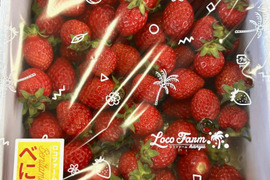 【訳あり！】べにたま大容量６５０ｇ以上