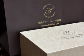 【常温便】【本州の方向け】グリーンキウイフルーツ 中サイズ 5玉　小箱　化粧袋付き【冬ギフト】【御歳暮】追熟処理済 贈答用