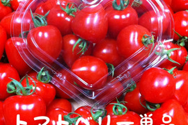 ハート型でかわいいミニトマト　完熟トマトベリー単品 1kg【千葉県旭市産】