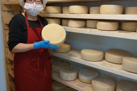 国産羊乳チーズ２種計150gと羊乳ヨーグルト100g、ヒレとロース、他の部位３００ｇ（北海道・農家製）