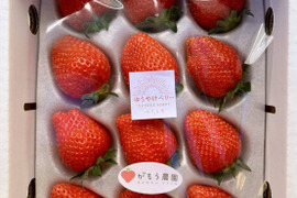 農家直送　採れたてのいちご食べたことある？　平詰め
完熟新鮮いちご　ゆうやけベリー