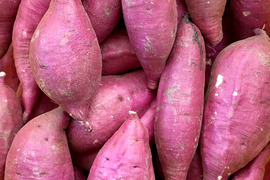 訳ありでもホックリサラリ！新品種「ゆきこまち」色々なサイズ入り  3キロ箱