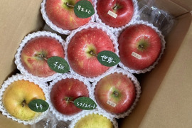 (2026年産予約)🍎【アワード受賞福袋】 【食べ比べ】(家庭用)5品種詰め合わせ🍎3キロ   おまかせ 商品ID171041  りんご 青森 ミックス ギフト
