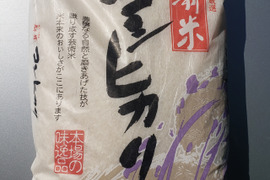 新米7年産5kg 精白米コシヒカリ