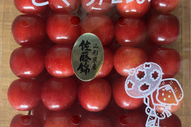☆特別価格☆山形県産さくらんぼ　佐藤錦　贈答用　500g