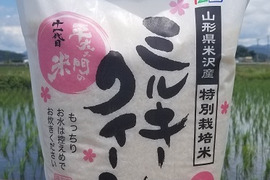 【新米】令和５年産　特別栽培米ミルキークイーン　精白米5kg