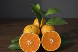 「美味い！」と自信を持って言える有田みかんができました　【訳あり・10kg（箱込）】