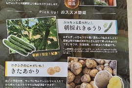旬のおまかせ野菜セット ！！