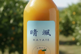 和歌山　天田みかん100％ジュース　1L