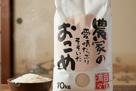 【令和７年新米】新米コシヒカリ【１０ｋｇ】千葉県南房総市産