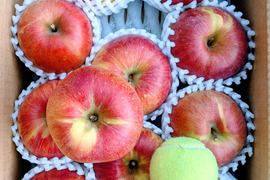 長野生まれのレア品種！大玉あいかの香り　約3kg