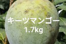 希少キーツマンゴー(家庭用)1.7kg