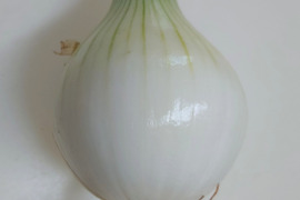 新✨️タマネギ🧅できたよ😋泥つき発送！