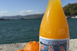 【無添加・果汁100%】はるみジュース 2本セット