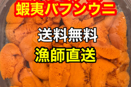 （実質送料無料）極上プレミアム蝦夷バフンウニ（北海道利尻島産）5パック 350g