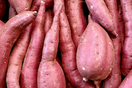 訳ありでもシットリ甘い！「シルクスイート」色々なサイズ入り  5キロ箱