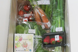 nico 旬の野菜セット　5~8種類